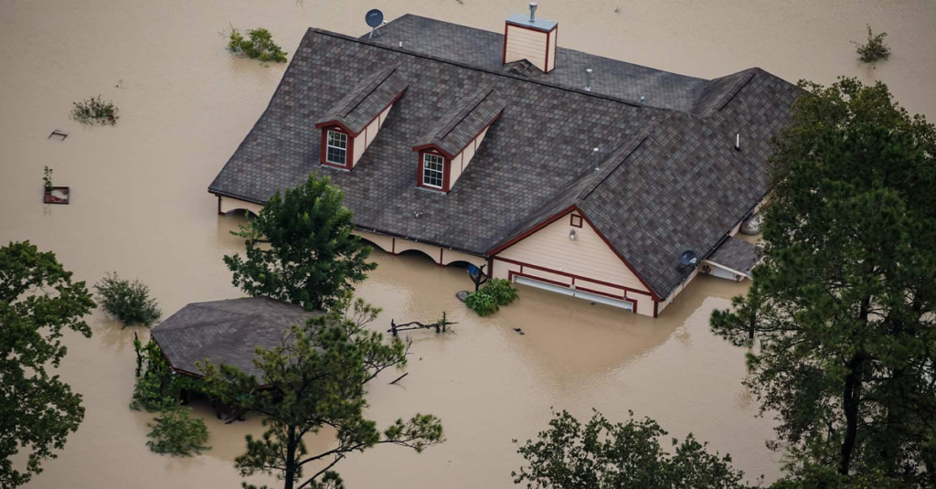 Seguros e desastres naturais: entenda a importância de se precaver