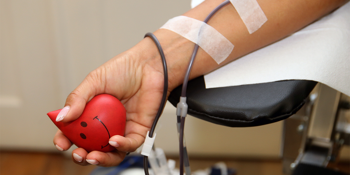 Junho Vermelho: Desvendando Mitos e Verdades sobre a Doação de Sangue Junho Vermelho: Desvendando Mitos e Verdades sobre a Doação de Sangue